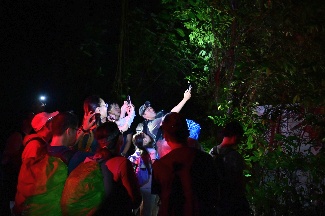 ./resources/album/12/org/DSC_3932.JPG