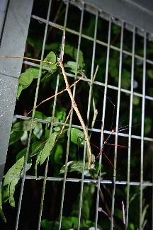 ./resources/album/12/org/DSC_4025.JPG