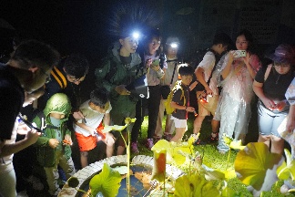 ./resources/album/12/org/_GRE1755.JPG